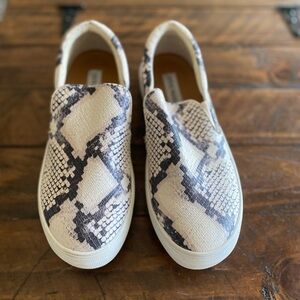 Steve Madden Gills Snake Print Slip On Shoes